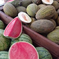 Fruteria 8 Sandías